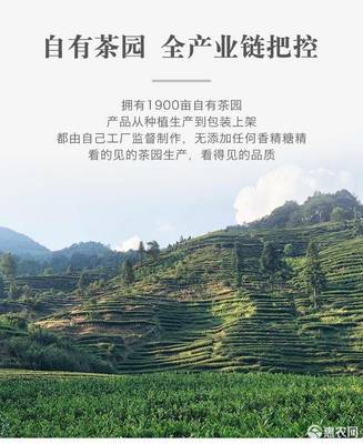 高山红茶“中闽洋山”品鉴 119元罐装二级新茶的诚意与回味