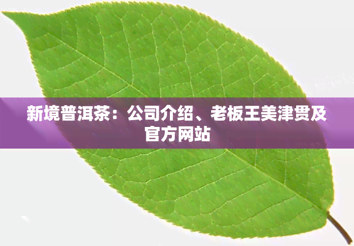 新境普洱茶业 扎根古茶山的生态理念与品牌传承