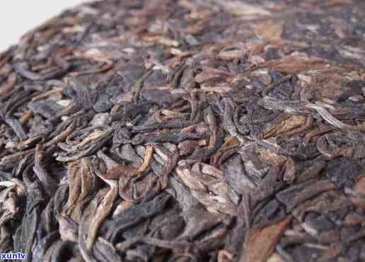 西双版纳基诺山茶厂全系普洱茶 生态种植与品质评价