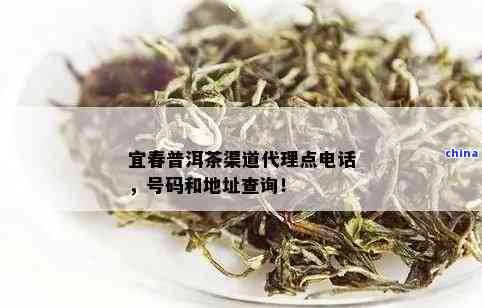 宜春普洱茶加盟 探寻茶种植与产业链的有机融合之道