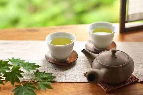 白茶饼怎么泡好喝 这样泡准没错